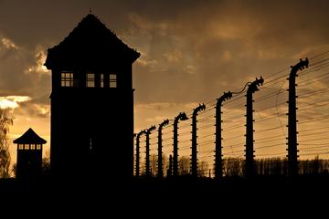 Krakow Combo: Auschwitz-Birkenau Tour and Krakow Card