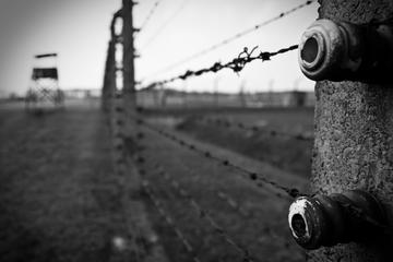 Krakow Super Saver: Auschwitz-Birkenau Tour from Krakow and 3 Museum Passes