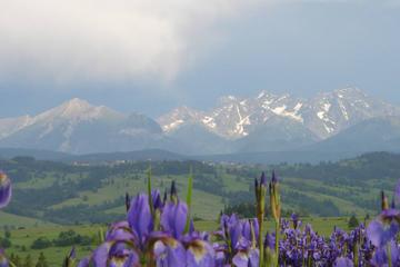 Zakopane and Tatra Mountains Day Trip from Krakow