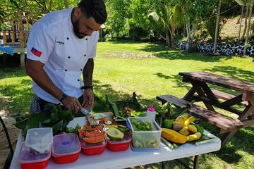 Full-Day Upolu Food Tour