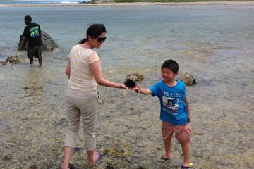 Custom Private St Maarten Sightseeing Tour from Philipsburg