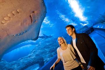 The Aquarium of Western Australia (AQWA): General Admission Ticket