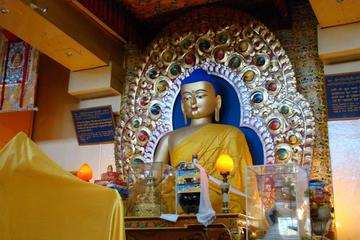 Dharamshala Sightseeing Tour