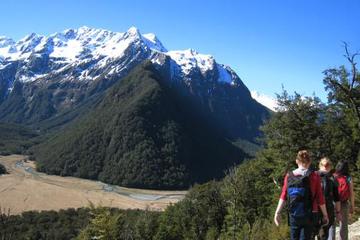 Full-Day Routeburn Track Guided Hike from Queenstown