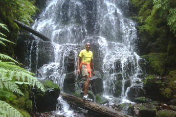 Day Trip Full Day Multnomah Falls and Gorge Waterfalls Tour from Portland near Portland, Oregon 