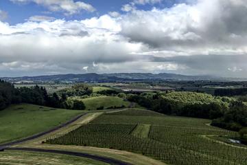 Small-Group Tour: Portland Highlights and Wine-Tasting Combo