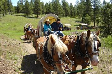 Wild Wild West!