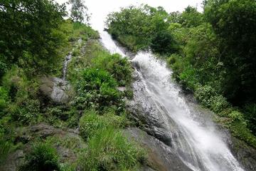 Cool Breeze Waterfall Tour