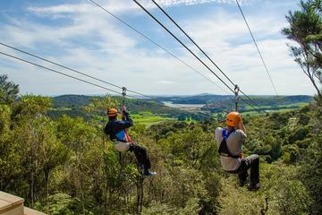Auckland Shore Excursion: Waiheke Island Tour With Zipline Adventure