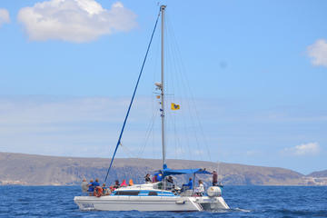 Costa Adeje 2 Hour Boat Excursion
