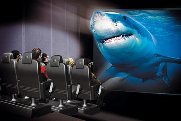 Antalya Aquarium and XD Cinema Combo Ticket with Transfer Upgrade