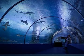 Antalya Aquarium® Ticket with Optional Transfer