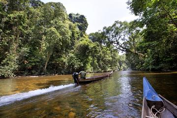 3-Day Jungle Experience in Taman Negara from Kuala Lumpur