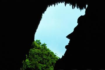 3-Night Adventure in Mulu National Park