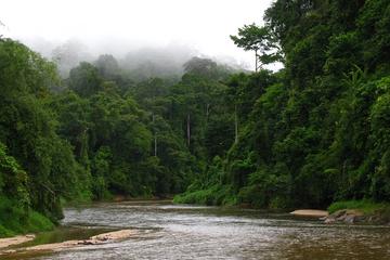 A Date With Nature At Ulu Muda Rainforest