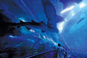 Aquaria KLCC Admission Ticket (E-Ticket)