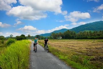 Half-Day Guided Bicycle Tour of Penang Countryside