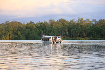 Half-day Kuching Wetlands National Park Mangrove Cruise