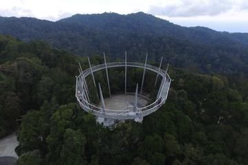 Panoramic Penang Hill & The Habitat Nature Discovery