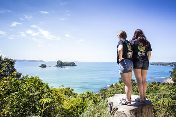 3-Day Winterless North Tour from Auckland