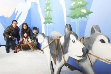 1-hour Snow Play Session at Snow City Singapore