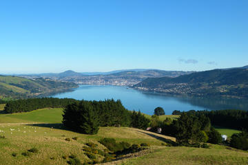 Otago Peninsula Scenic and City Highlights Tour