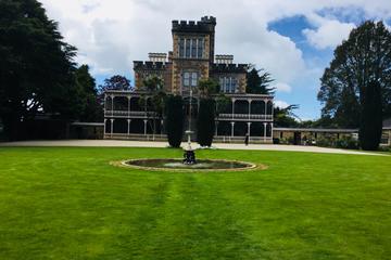 Shore Excursion: Dunedin City Highlights, Cadbury and Otago Peninsula Scenery