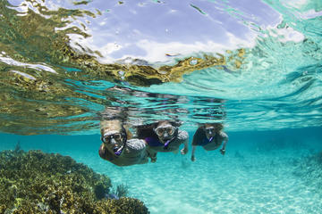 Sydney 3-Hour Snorkeling Tour