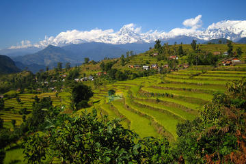 Royal Trek 9 Days