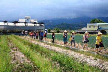 Culture,Making pie,Hot springs in Yilan Full Day Tour