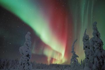 Northern Lights Snowmobile Sleigh Ride