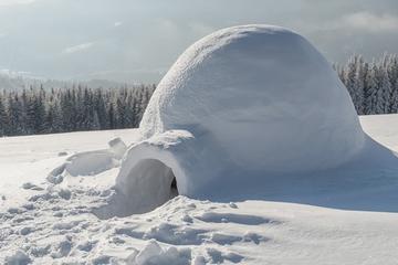 Northern Lights Trip with an Overnight Stay in a Snow Igloo