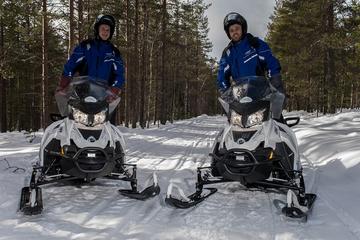 Snowmobile Safari to Reindeer and Husky Farms from Rovaniemi
