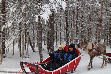 Snowmobile Safari to Reindeer Farm with One Hour Reindeer Safari
