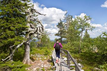Trip to Pyhä-Luosto National Park and Amethyst Mine