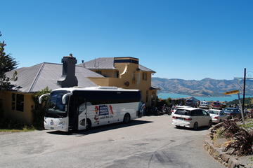 Two-Hour Local Akaroa Sights with Port Pickup and Drop Off