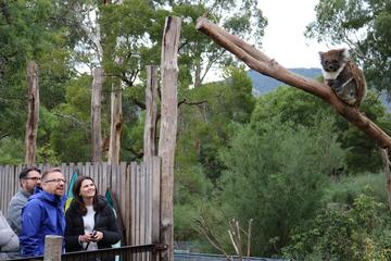 Yarra Valley Wildlife Express (Private Tour)