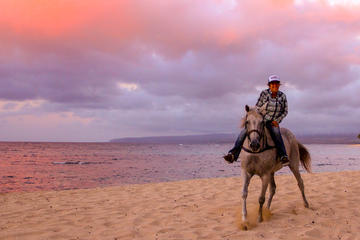Hawaii Polo Oceanfront Horseback Rides