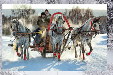 Troika Ride Experience in the region of Moscow