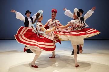 Hungarian Folk Performance in Budapest