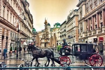 Private Vienna Sightseeing tour from Budapest