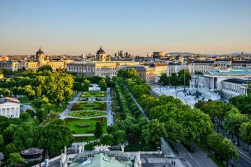 Vienna Transfer