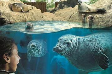 Hunstanton SEA LIFE Sanctuary General Admission
