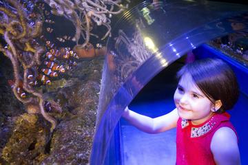 SEA LIFE Manchester Admission Ticket