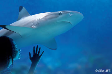Skip-the-Line SEA LIFE Munich Ticket