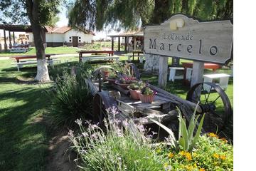 Artisan Cheese s Experience in Ensenada