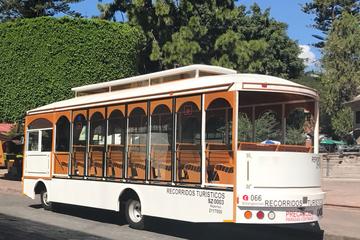 Colonial Querétaro by Trolley Car or Bus