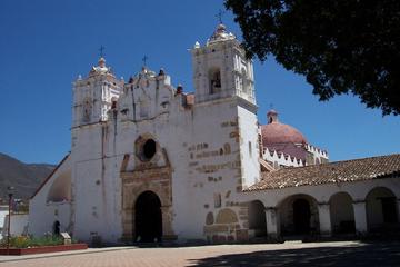 El Tule Teotitlan Village and Mitla Ruins Tour from Oaxaca