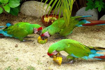 Ixtapa City and Countryside Combo Tour