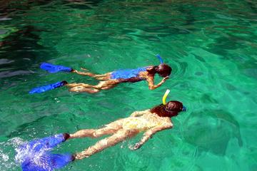 La Roqueta Island Snorkeling Tour from Acapulco
